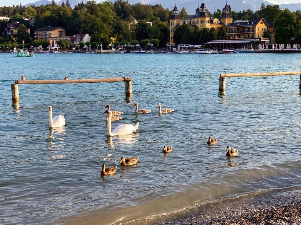 Mittagskogel * Velden am Wörthersee